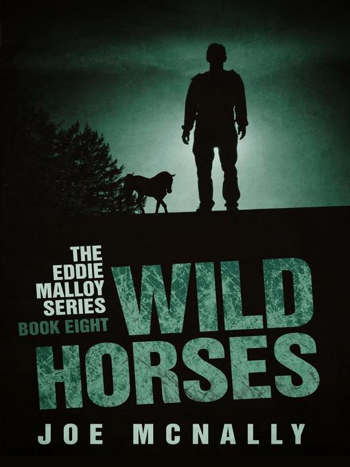 Title details for Wild Horses by joe mcnally - Available